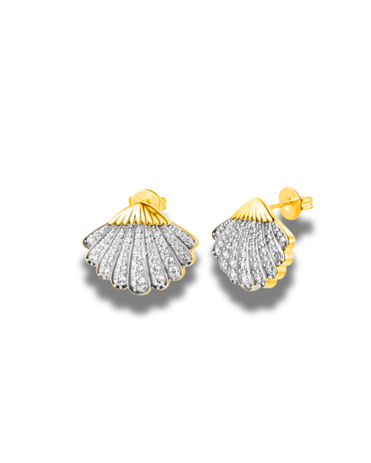 Sparkly Sea Shells