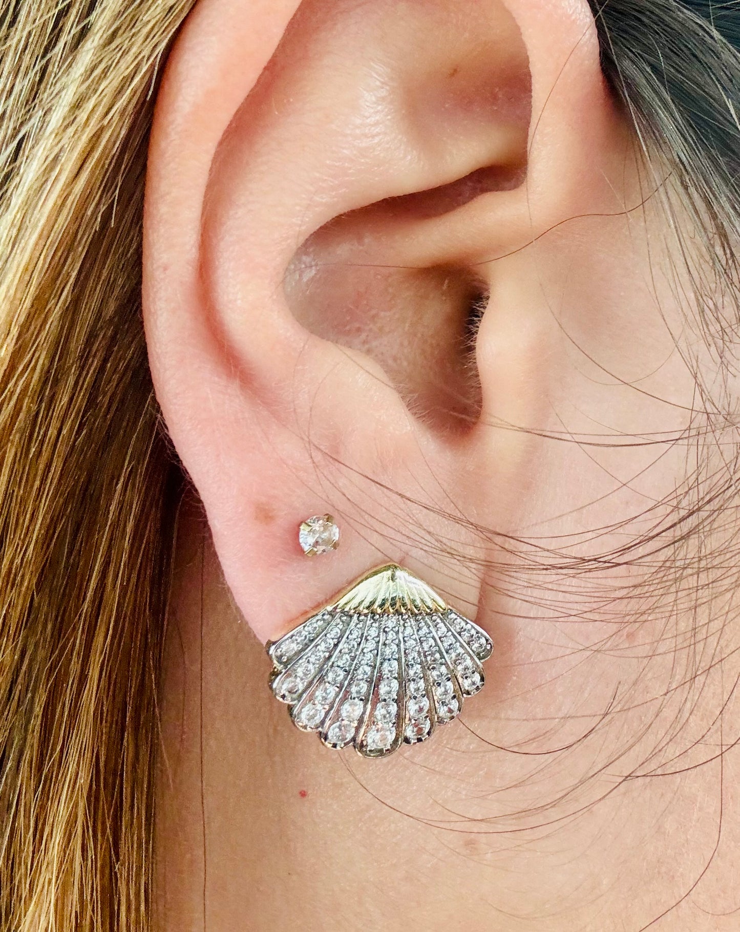 Sparkly Sea Shells